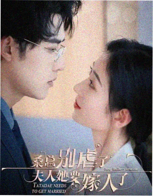白色档案室 韩剧在线观看